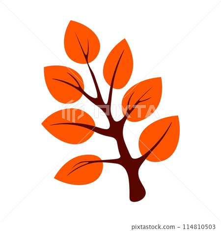Tree with orange leaves on white background Tree with orange leaves on white background 114810503