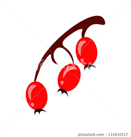 Branch with three cherries Branch with three cherries 114810517