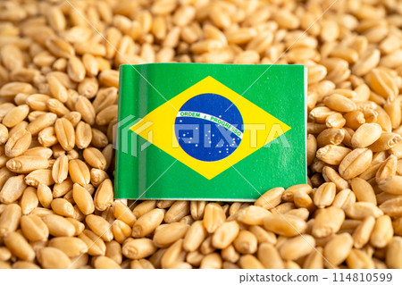Grains wheat with Brazil flag, trade export and economy. Australiaflag, trade export and economy. Grains wheat with Brazil flag, trade export and economy. Australiaflag, trade export and economy. 114810599