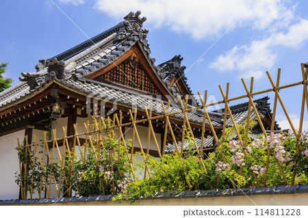 大房觀世音 - 春天的玫瑰和燈會盛開 114811228