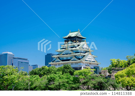 新鮮的綠色大阪城堡 114811388