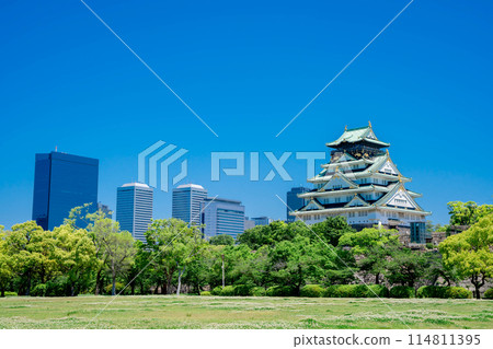 新鮮的綠色大阪城堡 114811395