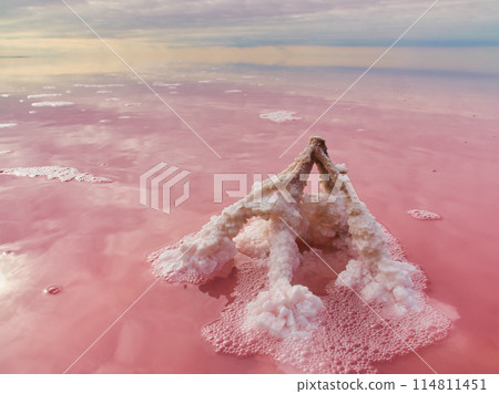 Pink Salt Lake Incredible Natural Landscape. Unusual Natural Phenomena Pink Salt Lake Incredible Natural Landscape. Unusual Natural Phenomena 114811451