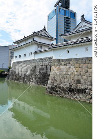 Sunpu Castle Tatsumi Tower Sunpu Castle Tatsumi Tower 114811750
