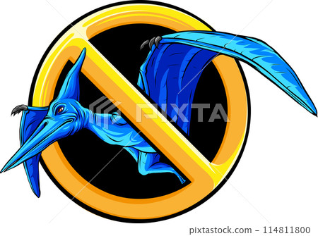 Vector illustration of a Pteranodon flying dinosaur. 114811800