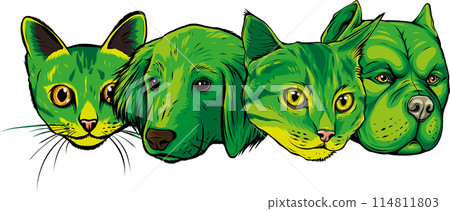 dog cat face icon pet vector illustration dog cat face icon pet vector illustration 114811803