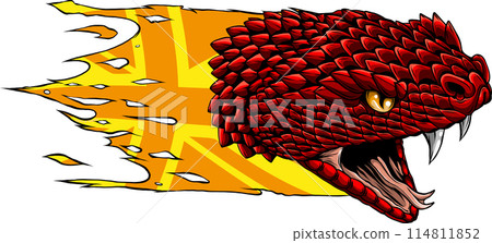 snake head hand drawn vector illustration design snake head hand drawn vector illustration design 114811852