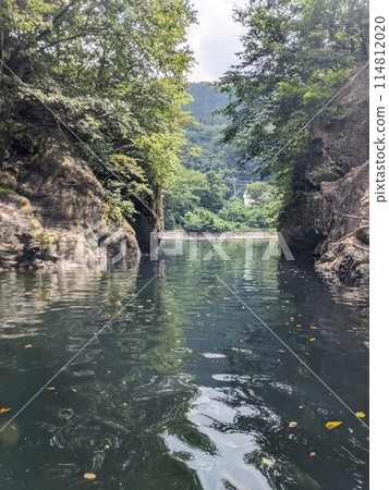 Autumn leaves floating in a clear stream Autumn leaves floating in a clear stream 114812020
