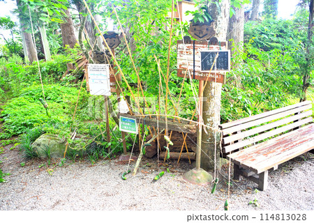 Tohoku, Tono, Kappa Falls, Attempt to catch a kappa with a fishing rod prepared for catching kappa, Tono City, Iwate Prefecture (1) 114813028