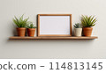 Blank Picture Frame on Wooden Shelf With Potted Plants Against a White Wall 114813145