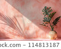 Green Potted Plant Against a Pink Wall With Sunlight Casting Shadows 114813187