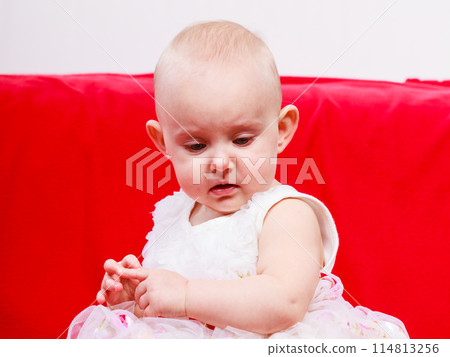 Little girl child portrait 114813256