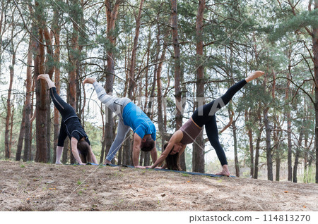 A group of three people doing exercises in the forest. A group of three people doing exercises in the forest. 114813270