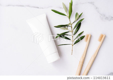 Top view of white plastic tube without label, bamboo toothbrushes and olive branch on white background 114813611
