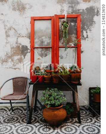 Close-up of potted plants with buckets on wooden table in yard 114813650