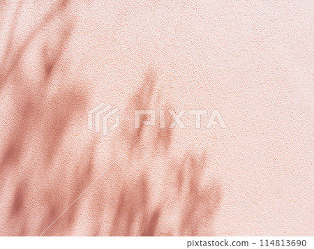 Minimal abstract silhouette shadow pink background of natural leaves of a tree branch falling on the wall 114813690