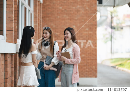 Students socializing outside a school building. Group of young friends talking and laughing on campus. Concept of education, friendship, and student life Students socializing outside a school building. Group of young friends talking and laughing on campus. Concept of education, friendship, and student life 114813797