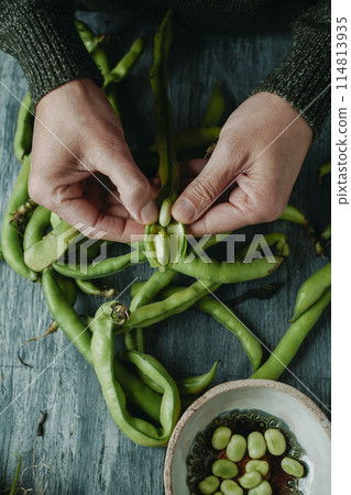 man taking broad beans out of its pod man taking broad beans out of its pod 114813935