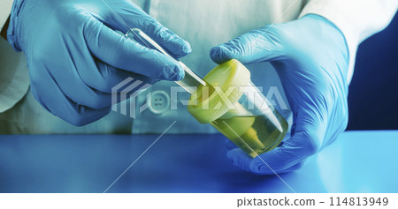 man filling a tube with a urine sample, banner 114813949