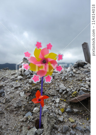Windmill 114814018