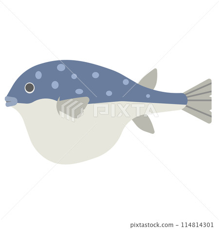 Illustration of a blowfish Illustration of a blowfish 114814301