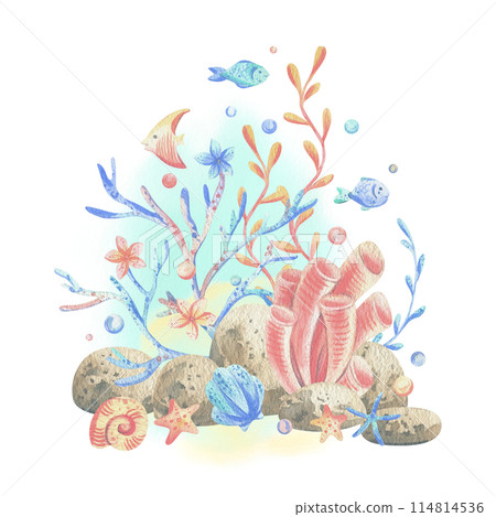 Sea corals, algae, shells, starfish, fish, bubbles. Watercolor illustration hand drawn in coral, turquoise and blue colors. Composition isolated from the background Sea corals, algae, shells, starfish, fish, bubbles. Watercolor illustration hand drawn in coral, turquoise and blue colors. Composition isolated from the background 114814536