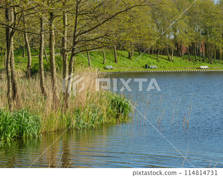 the island of ameland in the dutch north sea the island of ameland in the dutch north sea 114814731