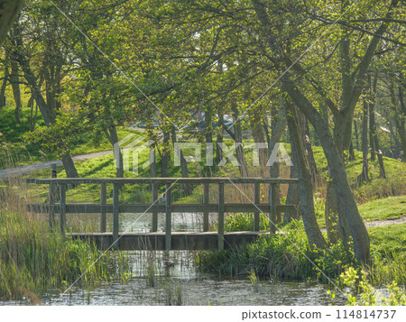 the island of ameland in the dutch north sea the island of ameland in the dutch north sea 114814737