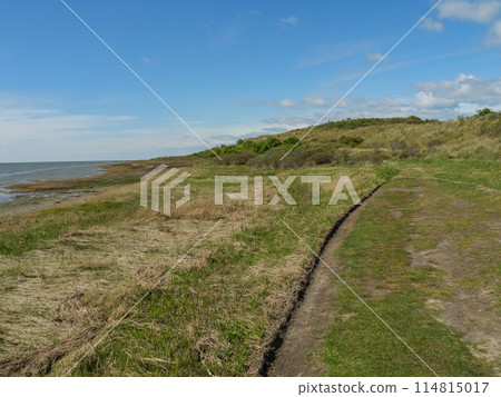 the island of ameland in the dutch north sea the island of ameland in the dutch north sea 114815017