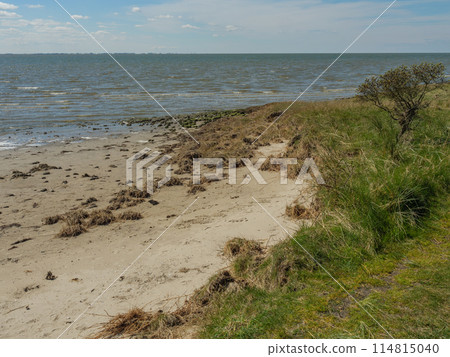 the island of ameland in the dutch north sea 114815040