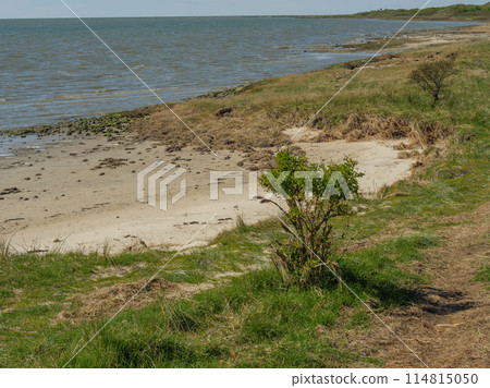 the island of ameland in the dutch north sea 114815050