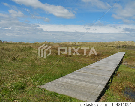 the island of ameland in the dutch north sea 114815094