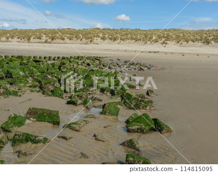 the island of ameland in the dutch north sea the island of ameland in the dutch north sea 114815095