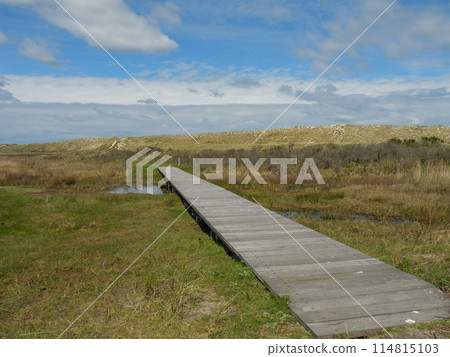 the island of ameland in the dutch north sea 114815103