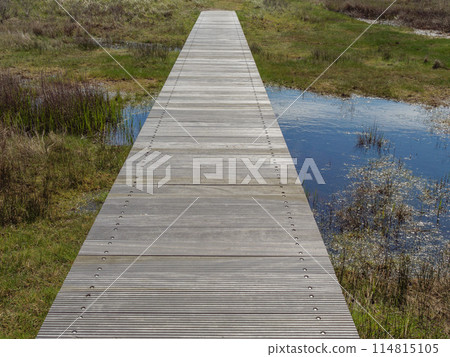 the island of ameland in the dutch north sea the island of ameland in the dutch north sea 114815105