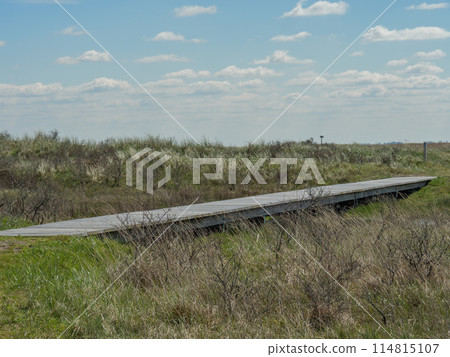 the island of ameland in the dutch north sea the island of ameland in the dutch north sea 114815107