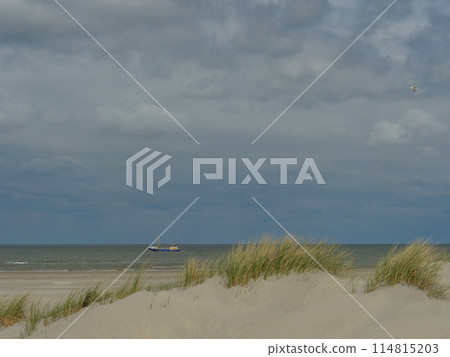 the island of ameland in the dutch north sea 114815203