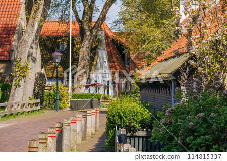 the island of ameland in the dutch north sea the island of ameland in the dutch north sea 114815337