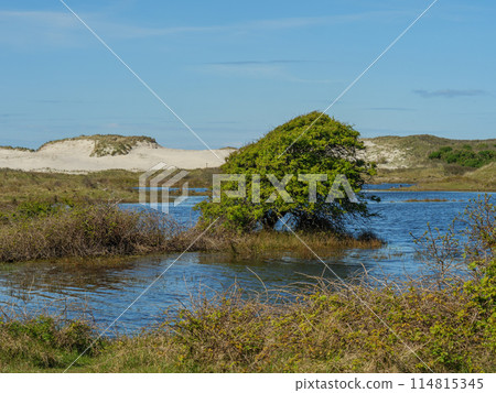 the island of ameland in the dutch north sea 114815345