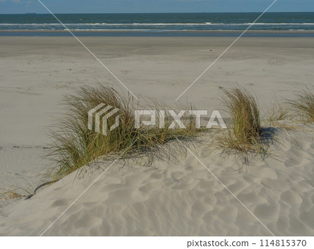 the island of ameland in the dutch north sea the island of ameland in the dutch north sea 114815370