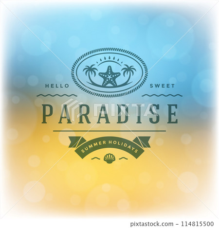Summer holidays label or badge typography slogan design Summer holidays label or badge typography slogan design 114815500