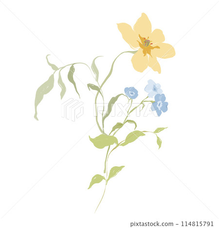 Watercolor abstract flower bouquet of narcissus and forget-me-not. Hand drawn floral card of wildflowers isolated on white background. Holiday Illustration for design, print, fabric or background. 114815791