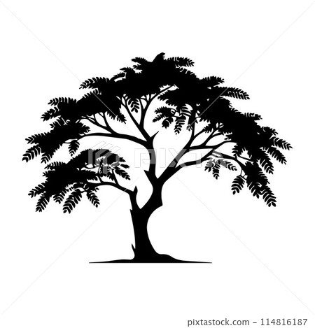 Tree silhouette editable vector illustration for logo icon isolated over white background Tree silhouette editable vector illustration for logo icon isolated over white background 114816187