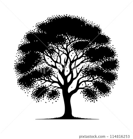 Tree silhouette editable vector illustration for logo icon isolated over white background 114816253