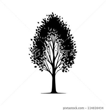 Tree silhouette editable vector illustration for logo icon isolated over white background Tree silhouette editable vector illustration for logo icon isolated over white background 114816434