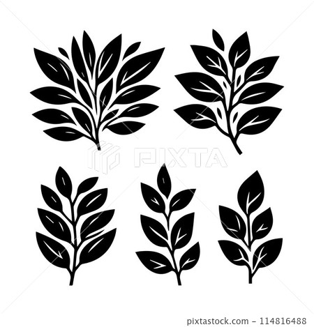 Leaves, Foliage, Greenery, Foliage silhouette editable vector illustration isolated over white background 114816488