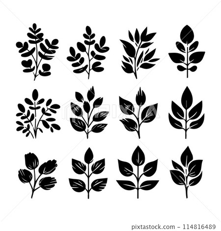 Leaves, Foliage, Greenery, Foliage silhouette editable vector illustration isolated over white background 114816489
