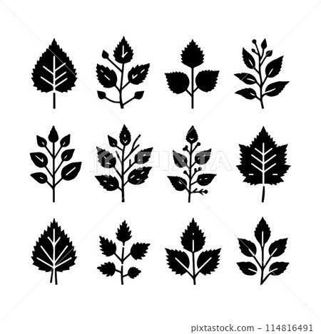 Leaves, Foliage, Greenery, Foliage silhouette editable vector illustration isolated over white background 114816491
