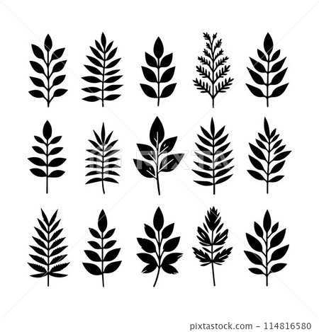 Leaves, Foliage, Greenery, Foliage silhouette editable vector illustration isolated over white background Leaves, Foliage, Greenery, Foliage silhouette editable vector illustration isolated over white background 114816580