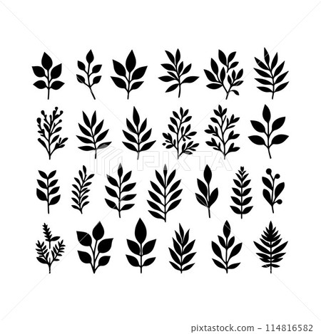Leaves, Foliage, Greenery, Foliage silhouette editable vector illustration isolated over white background Leaves, Foliage, Greenery, Foliage silhouette editable vector illustration isolated over white background 114816582